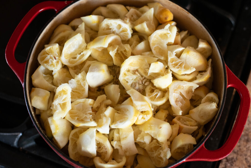 mixture of lemon pith and seeds in a pot