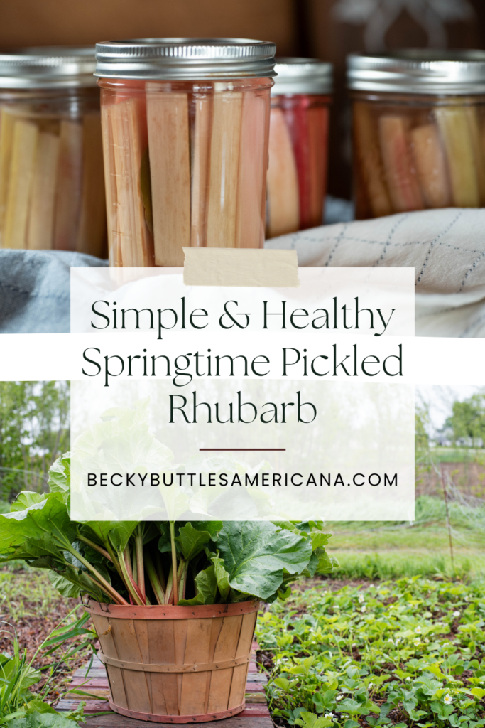 Jars of pickled rhubarb