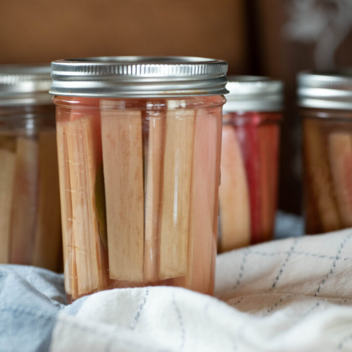Jar of pickled rhubarb