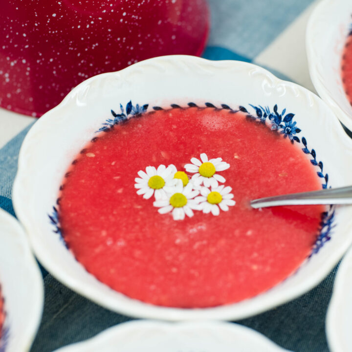 Bowl of watermelon soup