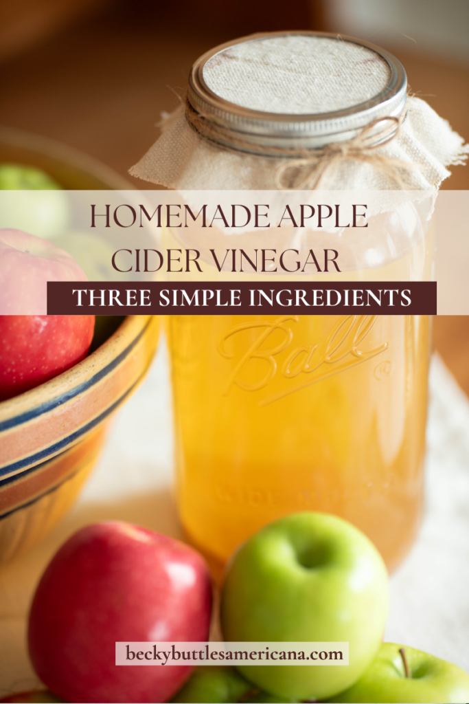 Jar of vinegar with fresh apples.