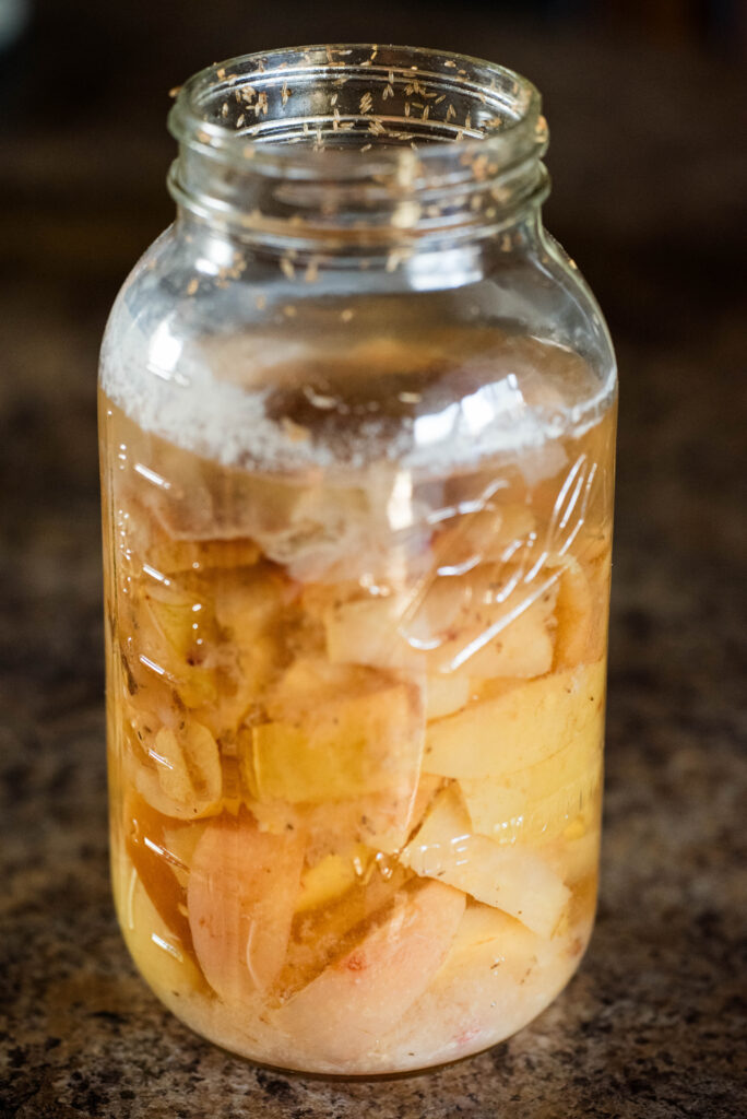 A jar of ferment with maggots growing inside.