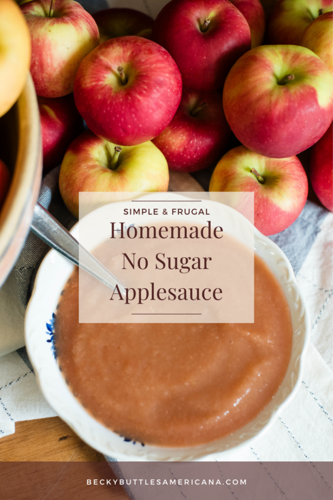 Fresh apples with bowl of simple no sugar applesauce.