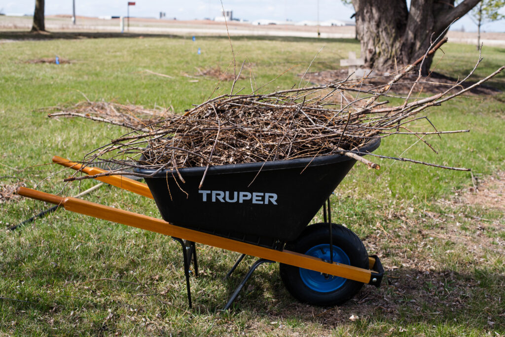 Wheelbarrow with branches