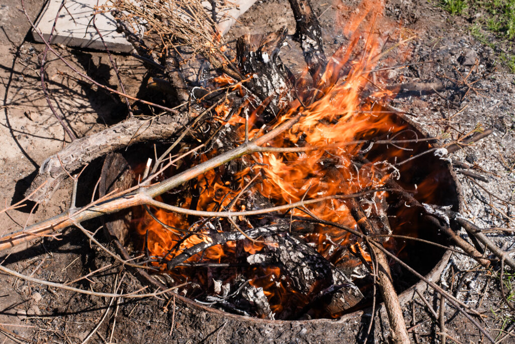 Fire burning in a fire pit.