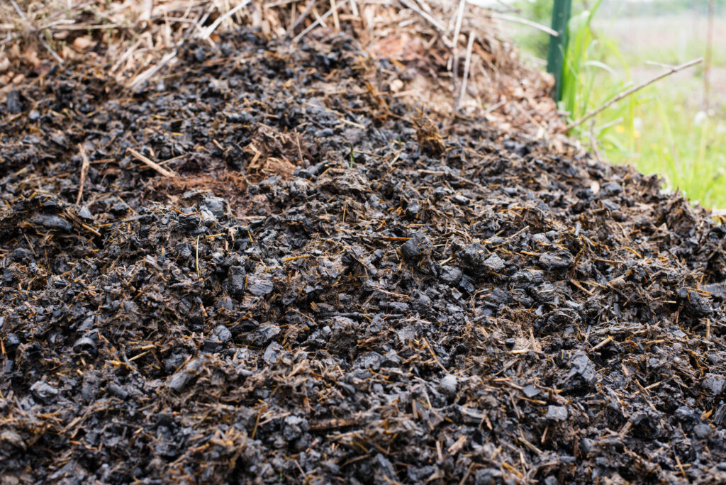 Biochar drying on a compost pile.