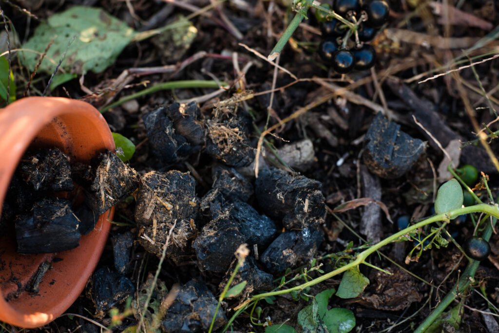 Biochar for the garden