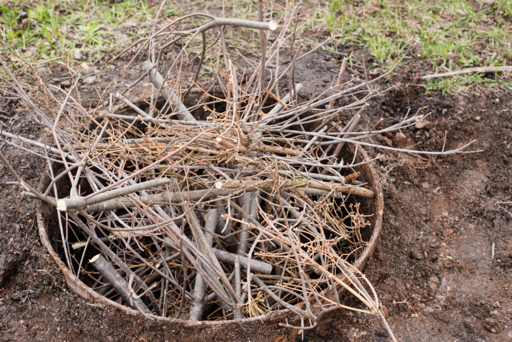 Fire pit with branches.