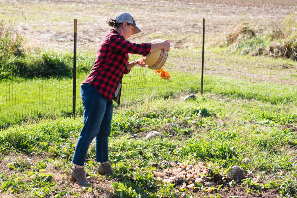 Woman tossing pumpkins on a compost pile.