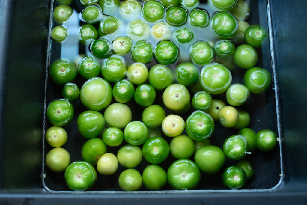 Fresh tomatillos being washed in a sink.