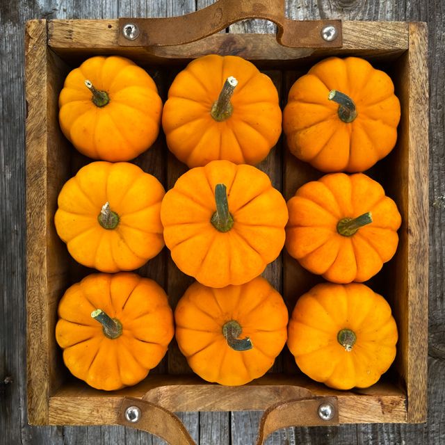 Jack be little pumpkins