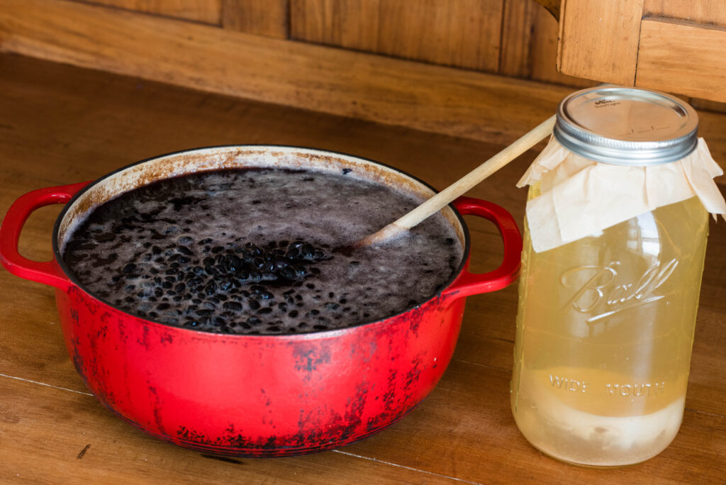 Dried beans pre-soaked for pressure canning