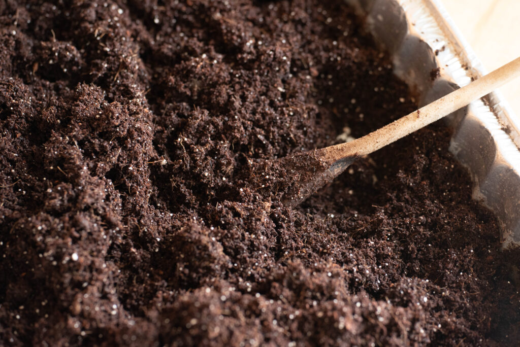 Seed start indoors with lightly damp soil.