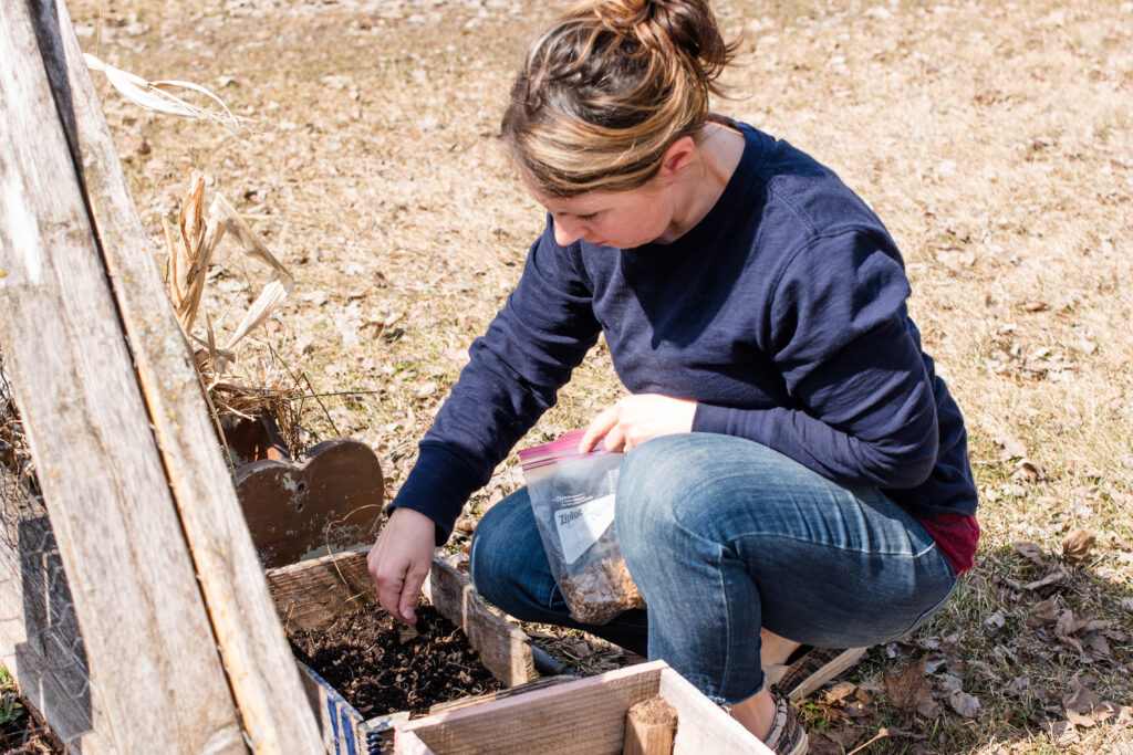 Woman spreading garden seeds in an outdoor container