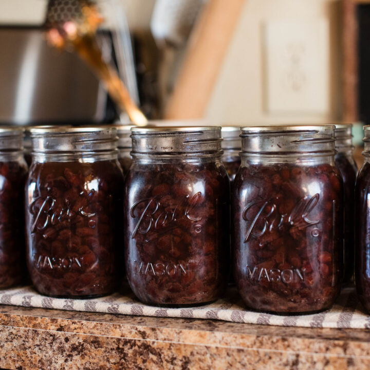 Pressure Canned Dried Beans