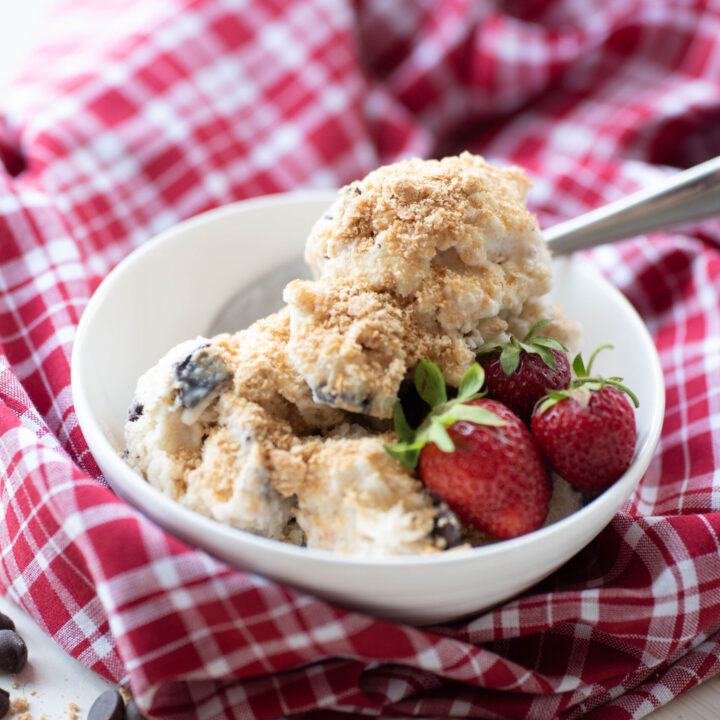Homemade Vanilla Ice Cream 