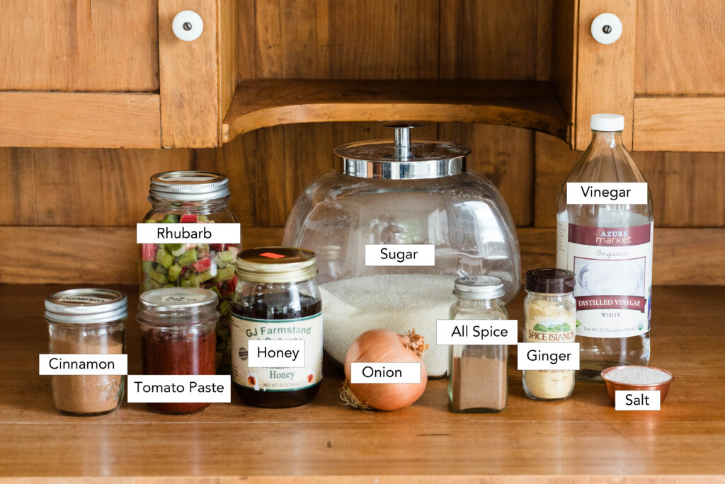 Ingredients for homemade barbecue sauce with rhubarb