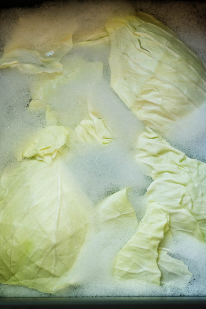 Cabbage leaves in soapy water before fermentation.