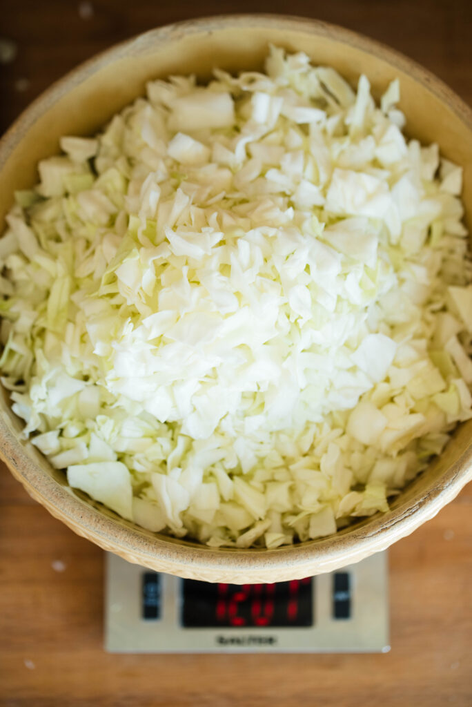 Shredded cabbage weighed for homemade sauerkraut.