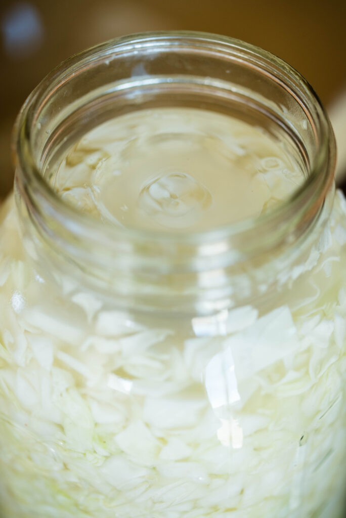 Fermentation weight pressing homemade sauerkraut below the brine.