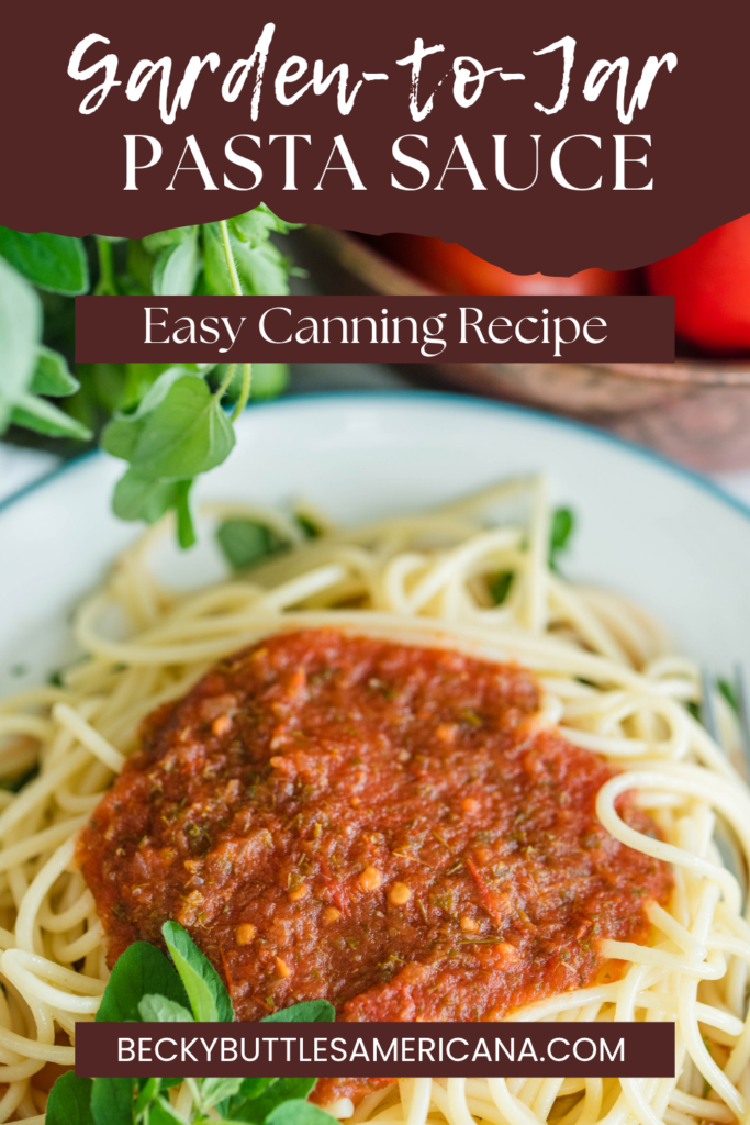 Plate of noodles with pasta sauce.