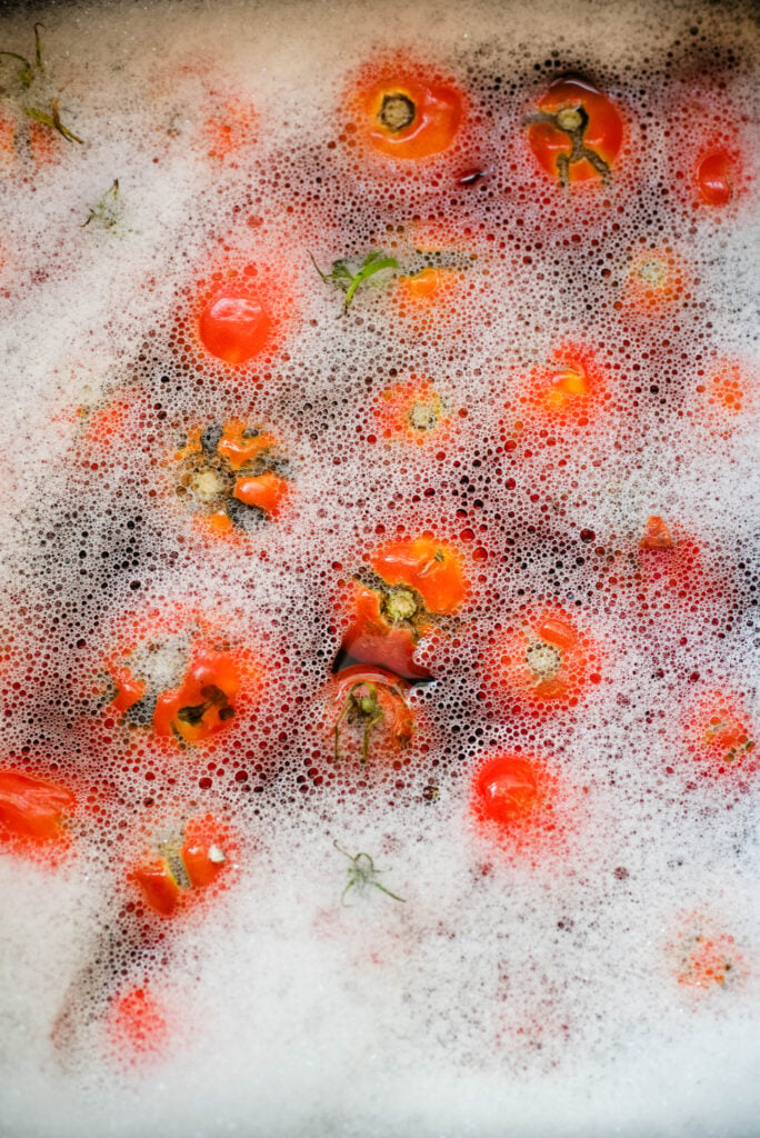 Fresh tomatoes being washed in soapy water.
