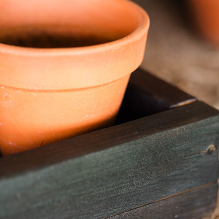 How to Make Wooden Seed Starting Boxes (Shou Sugi Ban Method)