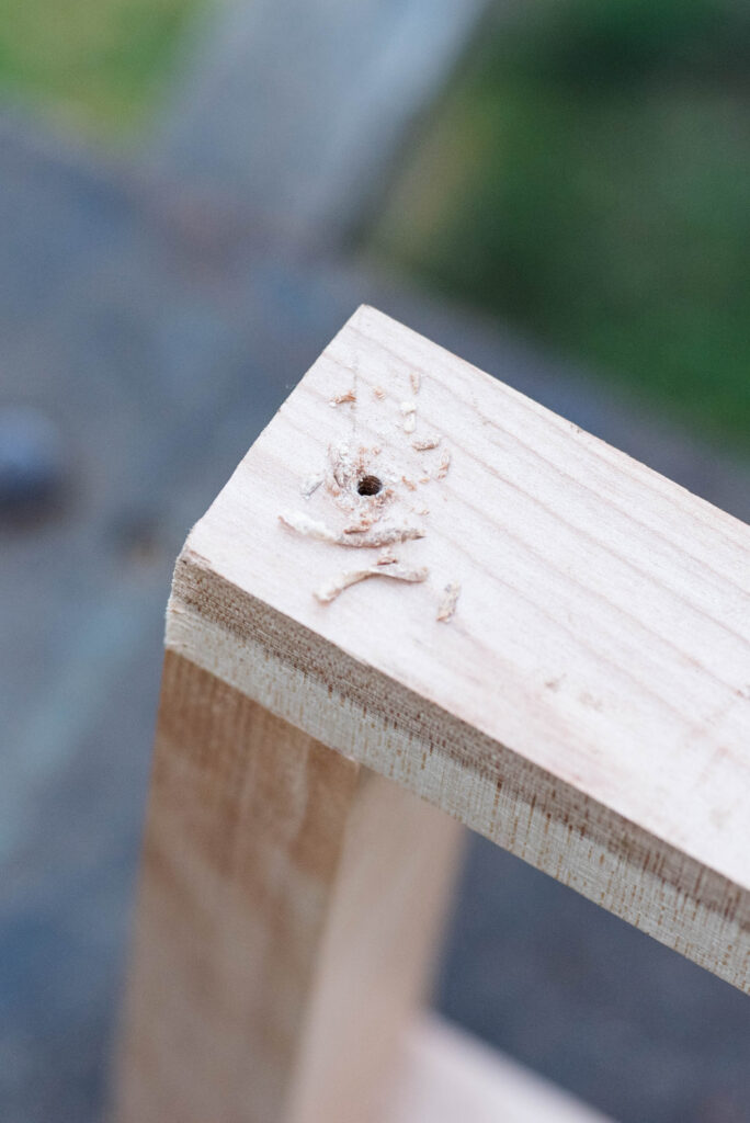Pilot hole drilled into a woo board.