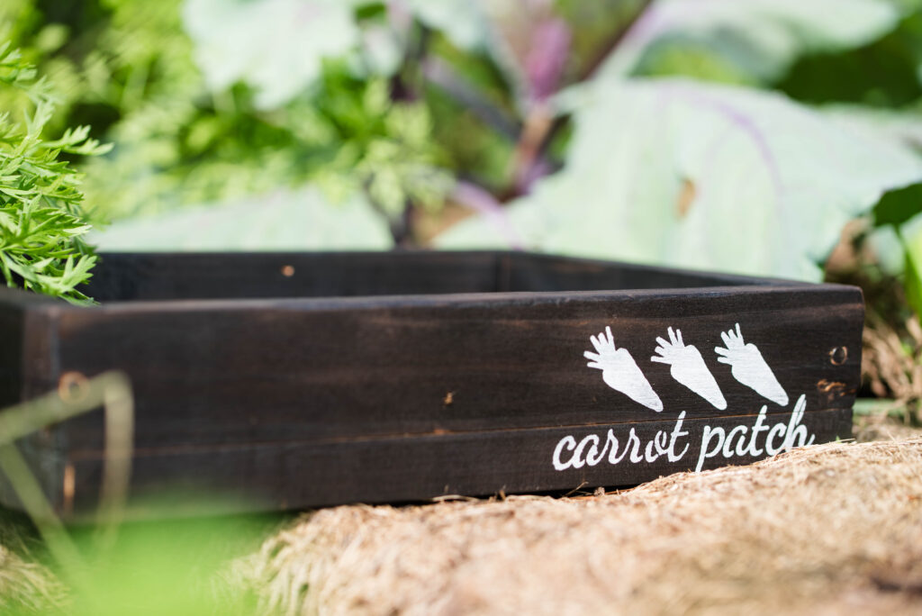 Wooden seed starting boxes sitting in a garden.
